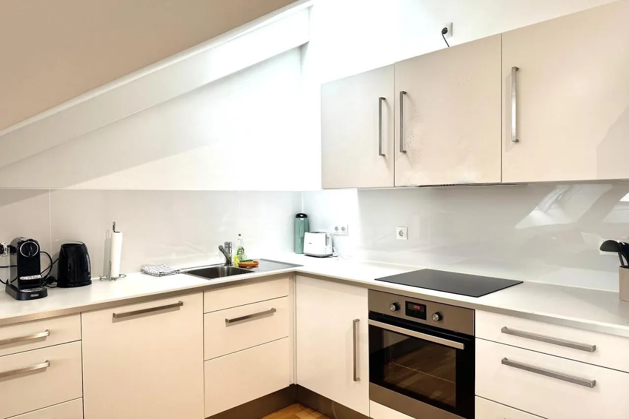 Spacious Penthouse In Favoriten Viena
