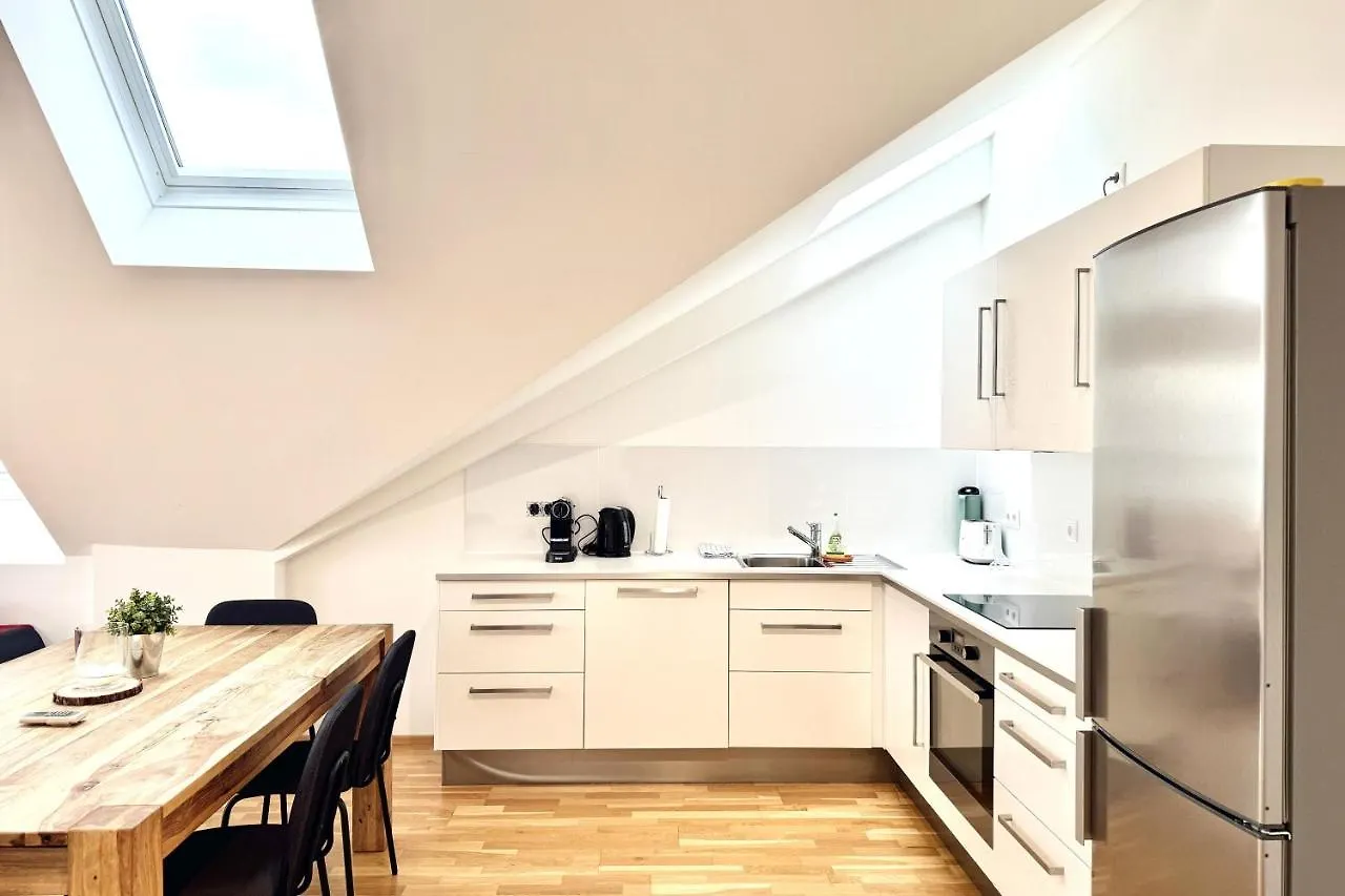 Spacious Penthouse In Favoriten Viena Austria