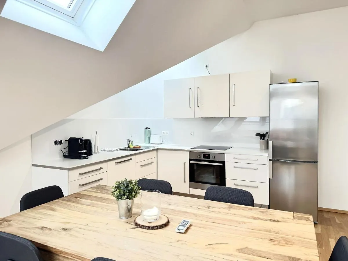 Spacious Penthouse In Favoriten Viena